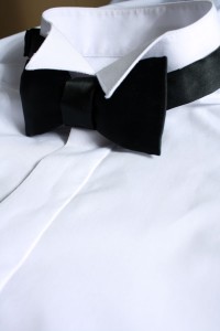 Hubble Wing Collar